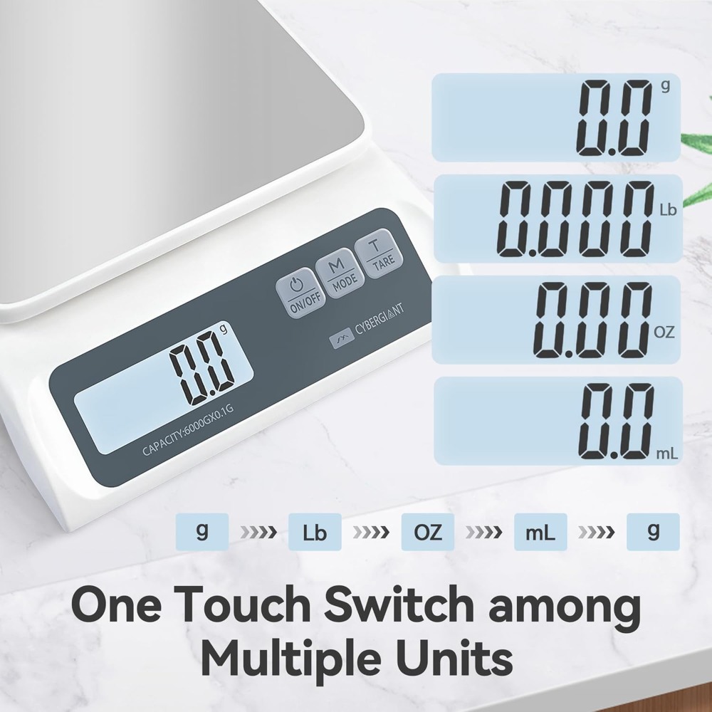 13lb/0.1g Precision Digital Fo - Kitchen Baking Scale ulasan dan harga